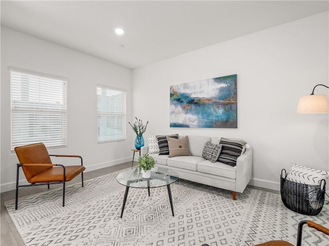 living room with light hardwood / wood-style floors