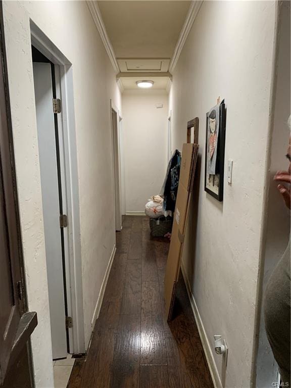 corridor with hardwood / wood-style flooring and crown molding