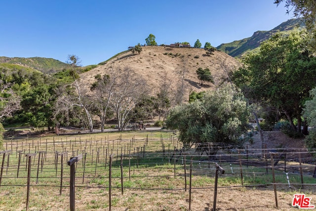 property view of mountains with a rural view