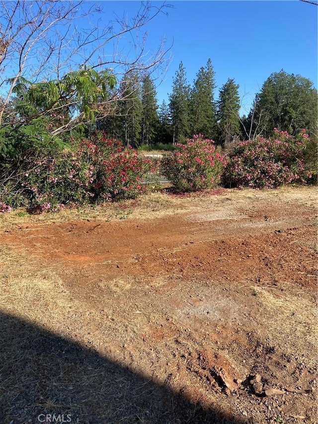 8899 Skyway, Paradise CA, 95969 land for sale