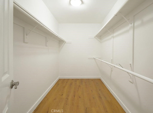 spacious closet with hardwood / wood-style flooring