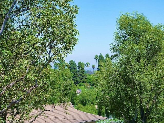 view of local wilderness