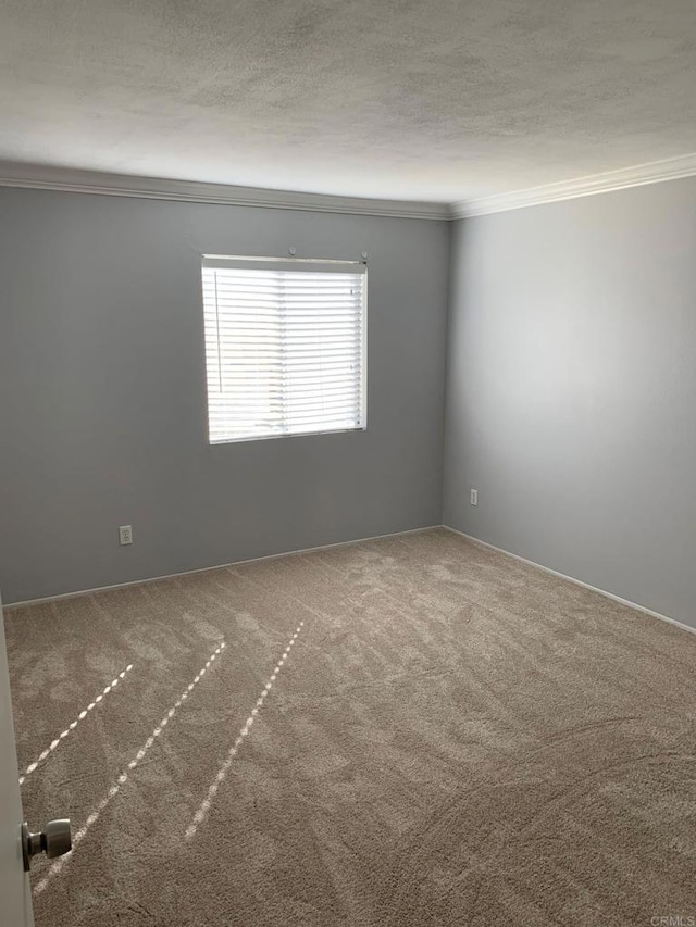 carpeted empty room with ornamental molding