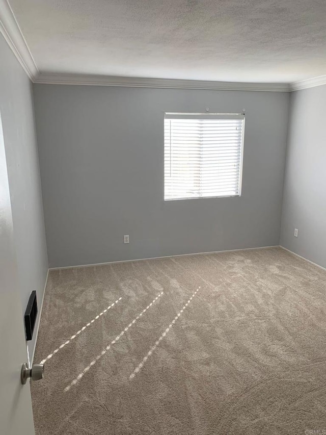 carpeted spare room featuring ornamental molding and a textured ceiling