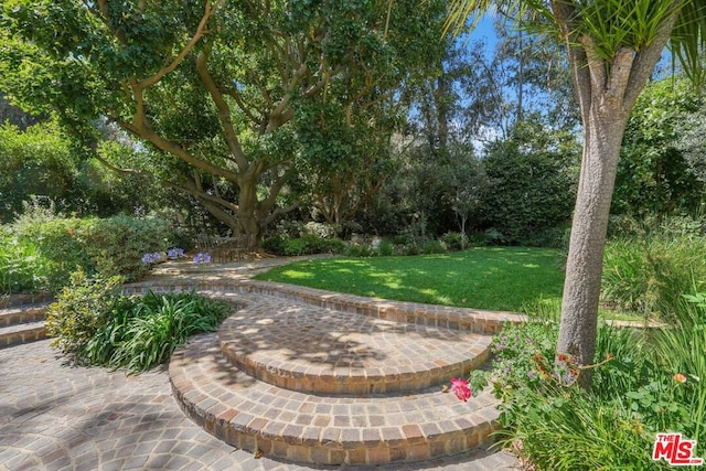 view of yard featuring a patio