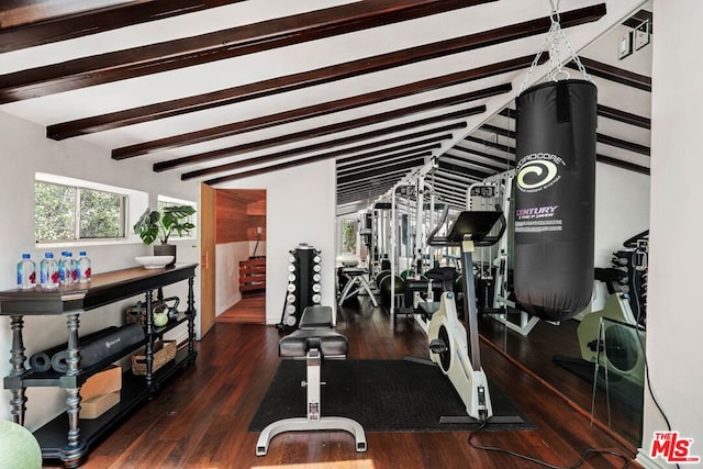 exercise room featuring dark hardwood / wood-style flooring and lofted ceiling