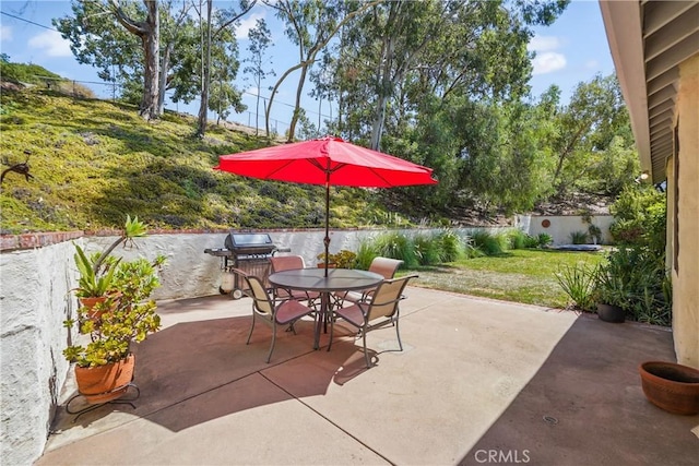 view of patio / terrace with area for grilling and outdoor dining space