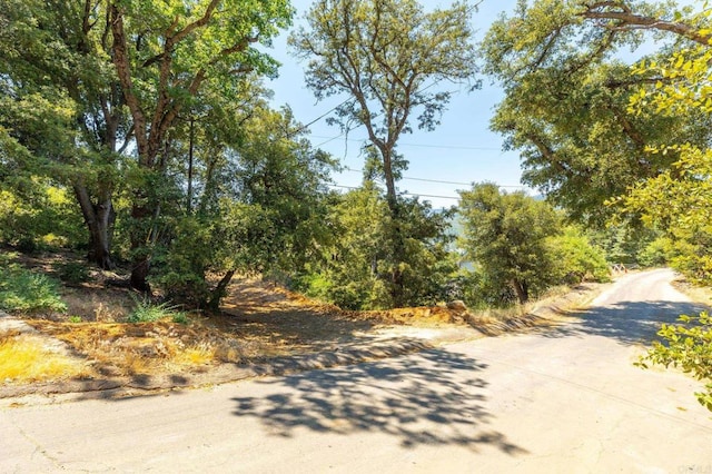 34791 Natchez Trl, Julian, CA 92036 - photo 15