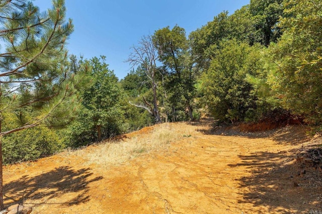 34791 Natchez Trl, Julian, CA 92036 - photo 10