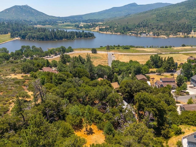 34791 Natchez Trl, Julian, CA 92036 - photo 1