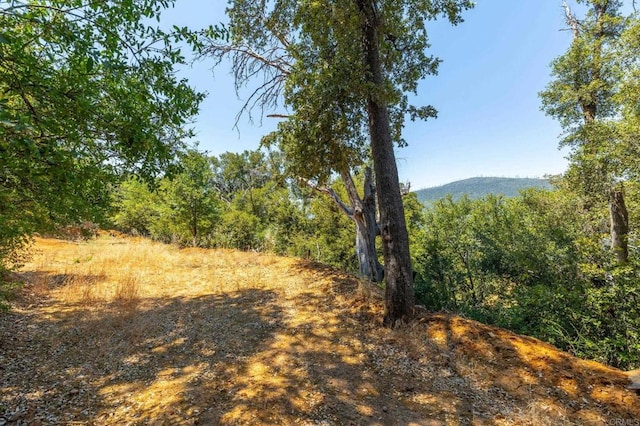 34791 Natchez Trl, Julian, CA 92036 - photo 14