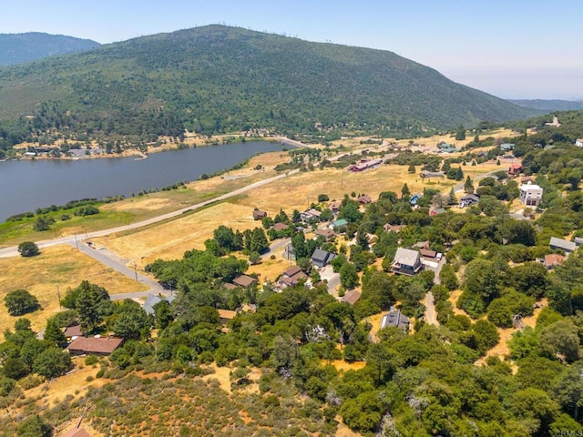 34791 Natchez Trl, Julian, CA 92036 - photo 21