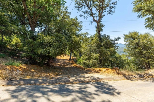 34791 Natchez Trl, Julian, CA 92036 - photo 4