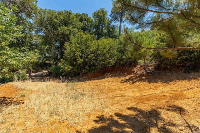 34791 Natchez Trl, Julian, CA 92036 - photo 11