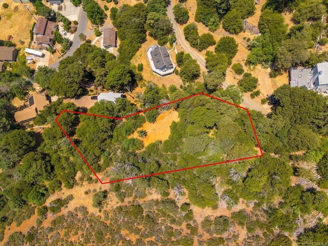 34791 Natchez Trl, Julian, CA 92036 - photo 3