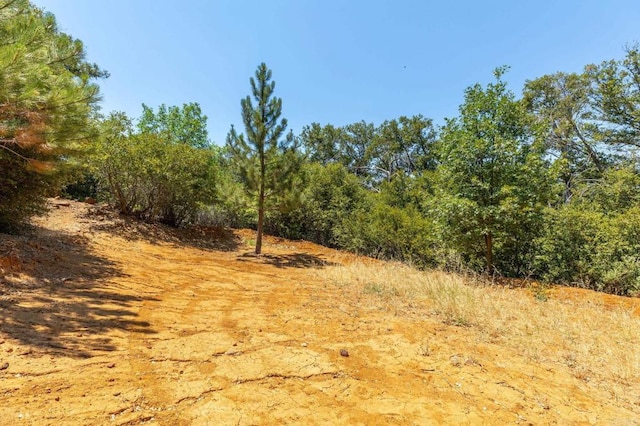 34791 Natchez Trl, Julian, CA 92036 - photo 9