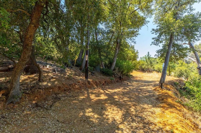 34791 Natchez Trl, Julian, CA 92036 - photo 6