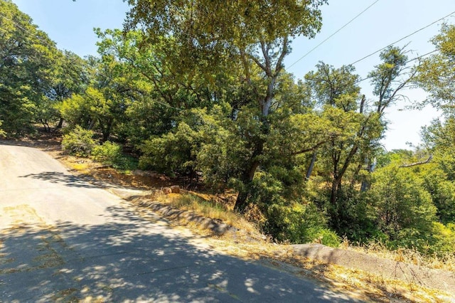 34791 Natchez Trl, Julian, CA 92036 - photo 16