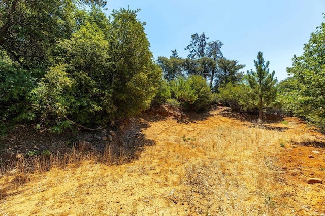 34791 Natchez Trl, Julian, CA 92036 - photo 8