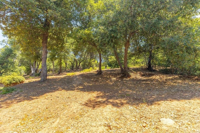 34791 Natchez Trl, Julian, CA 92036 - photo 17