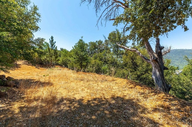 34791 Natchez Trl, Julian, CA 92036 - photo 7