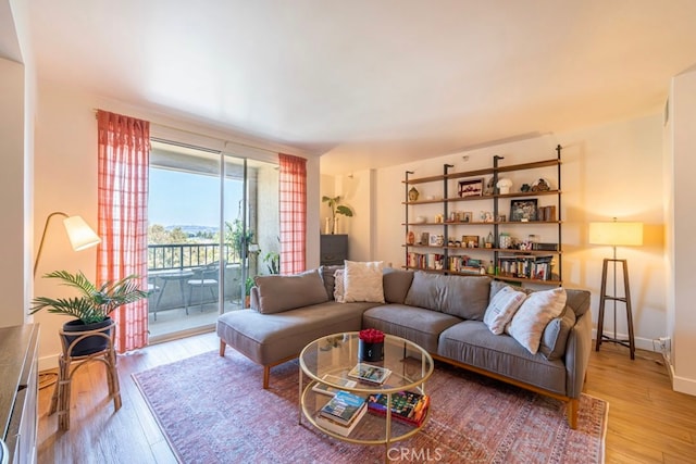 living room with hardwood / wood-style floors