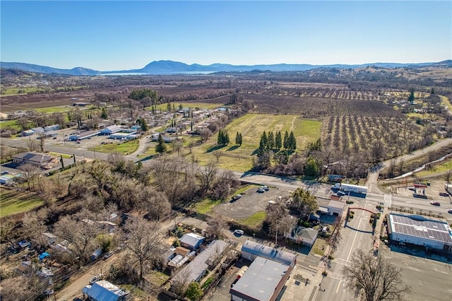 bird's eye view with a mountain view