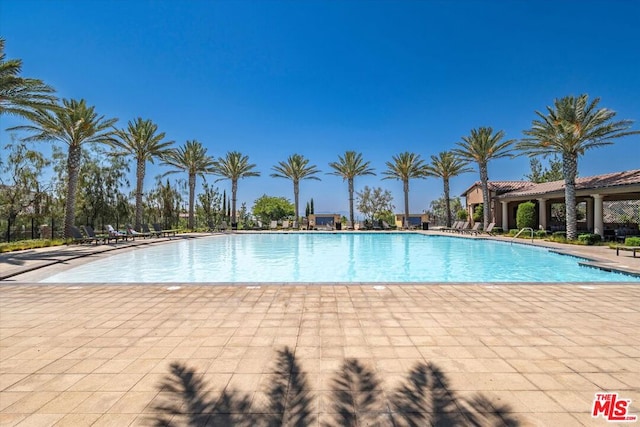 view of pool with a patio area