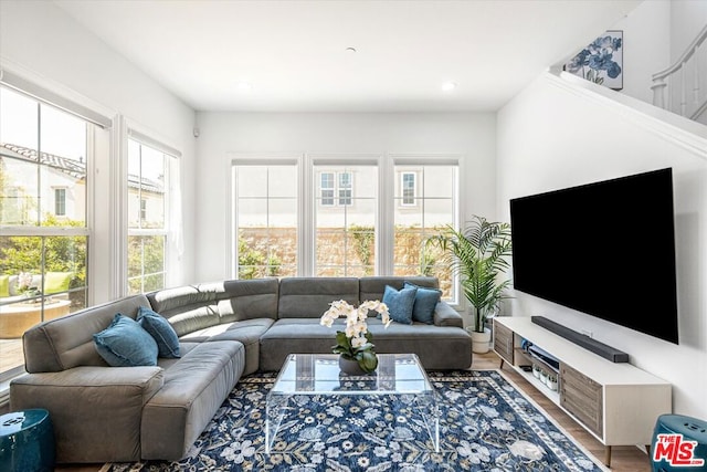 living room featuring hardwood / wood-style flooring