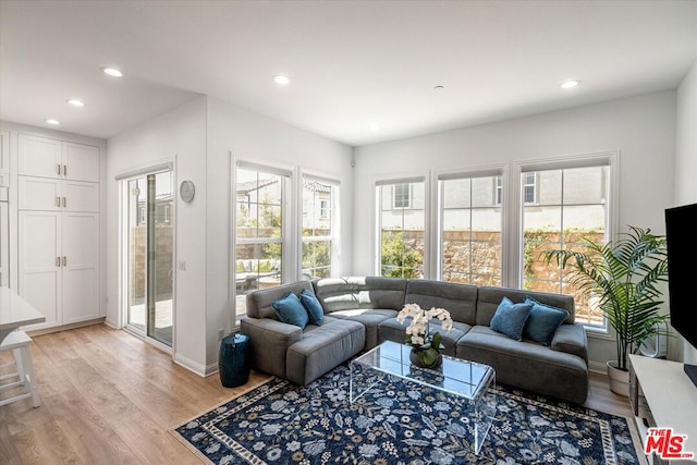 living room with light hardwood / wood-style floors