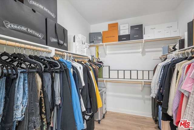 spacious closet featuring light hardwood / wood-style flooring