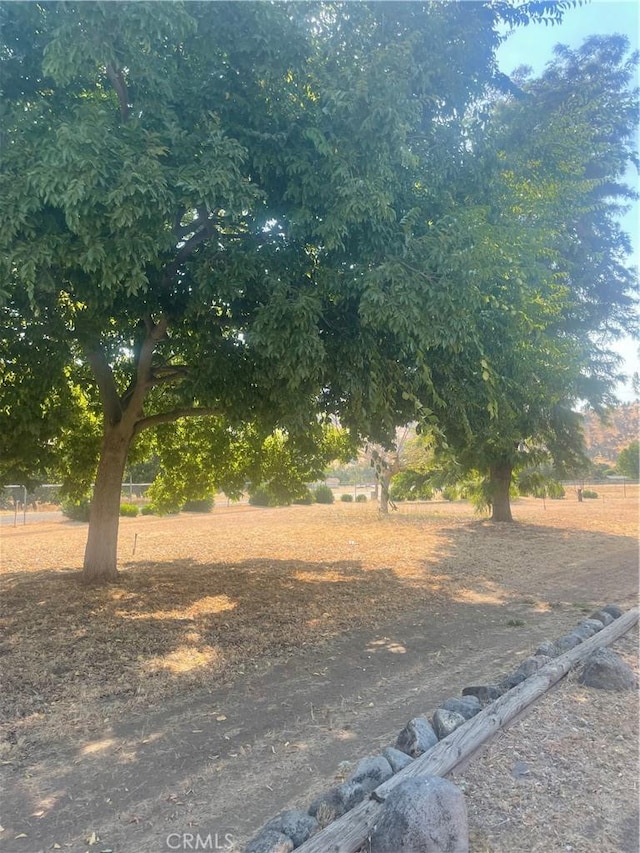 6009 Elwood Rd, Sanger, CA 93657 - view of yard
