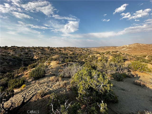 1 Ross Rd, Juniper Hills CA, 93543 land for sale