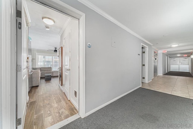 hallway featuring light hardwood / wood-style flooring and crown molding