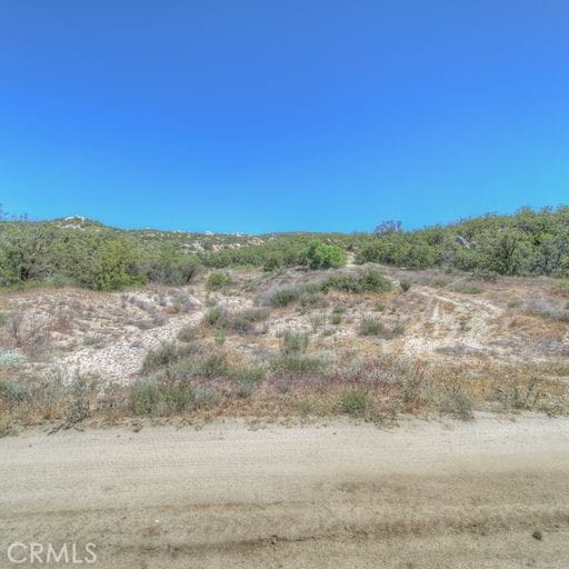 61700 Indian Paint Brush Rd, Anza CA, 92539 land for sale