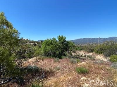 Listing photo 3 for 61700 Indian Paint Brush Rd, Anza CA 92539