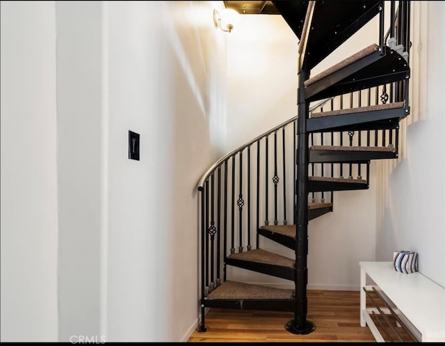 staircase with hardwood / wood-style floors