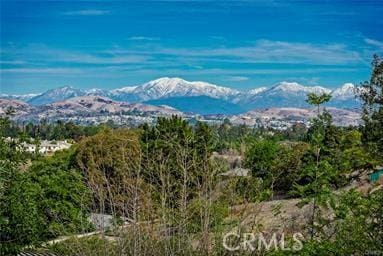1941 Skyline Dr, Fullerton, CA 92831 - photo 1