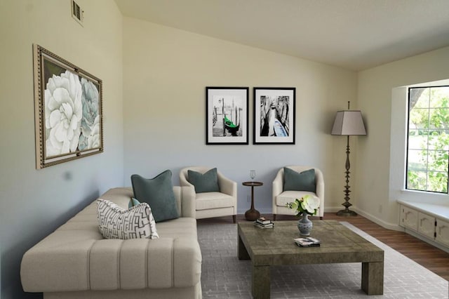 living room with lofted ceiling and wood-type flooring