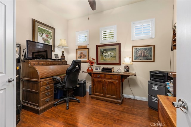 office featuring ceiling fan and dark hardwood / wood-style flooring