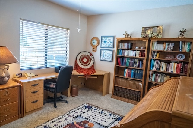 view of carpeted office