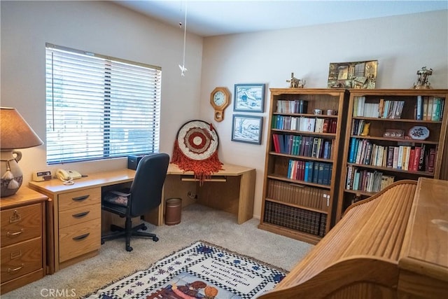 23061 Lakeview Dr, Tehachapi, CA 93561 - photo 26