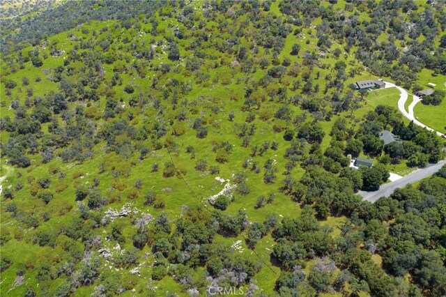1 Kirkham Ct, Keene, CA 93531
