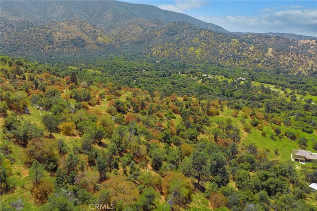 1 Kirkham Ct, Keene, CA 93531