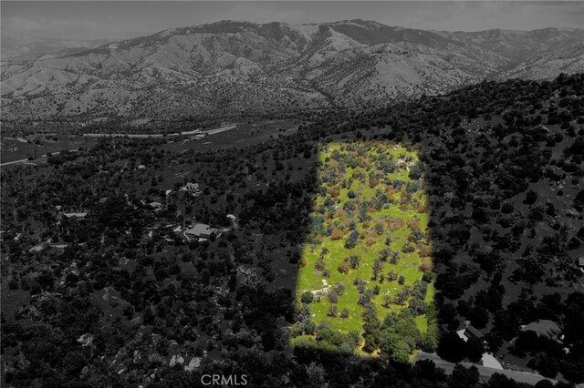 1 Kirkham Ct, Keene, CA 93531