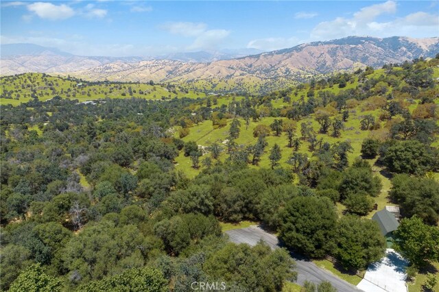 1 Kirkham Ct, Keene, CA 93531
