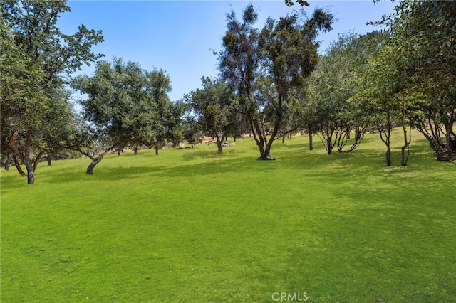 1 Kirkham Ct, Keene, CA 93531