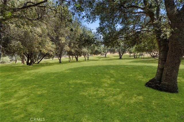 1 Kirkham Ct, Keene, CA 93531