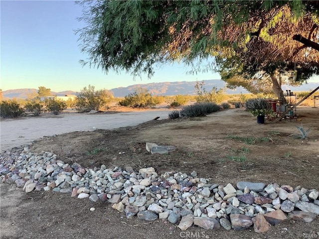 view of yard featuring a mountain view