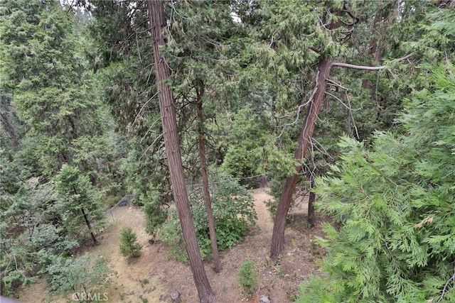 24048 Altdorf Dr, Crestline, CA 92325 - view of wooded area